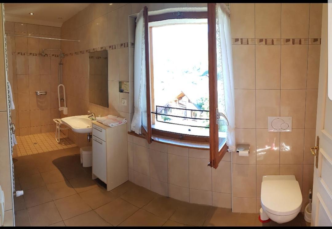 Hotel Plein Soleil Vacheresse Εξωτερικό φωτογραφία